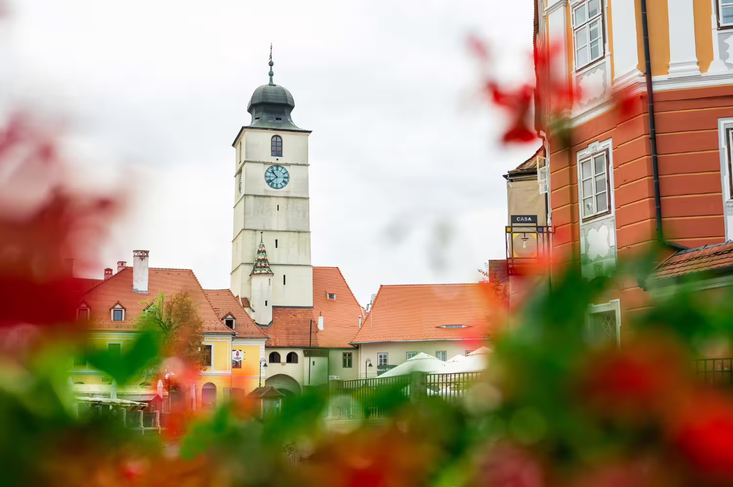 Opatów — Przewodnik po miasteczku świętokrzyskim