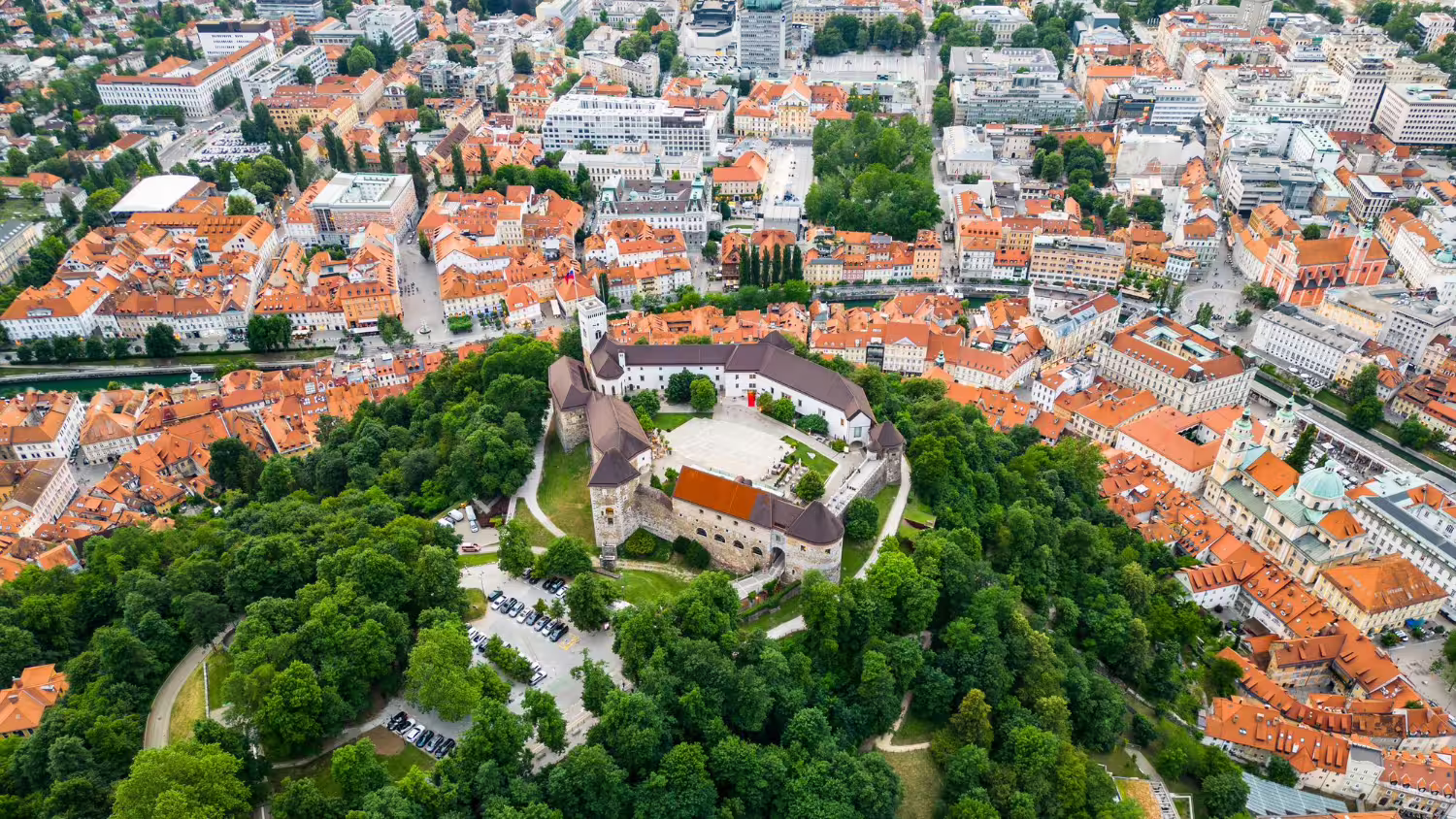 Rola doradztwa środowiskowego w przetargach publicznych - 1