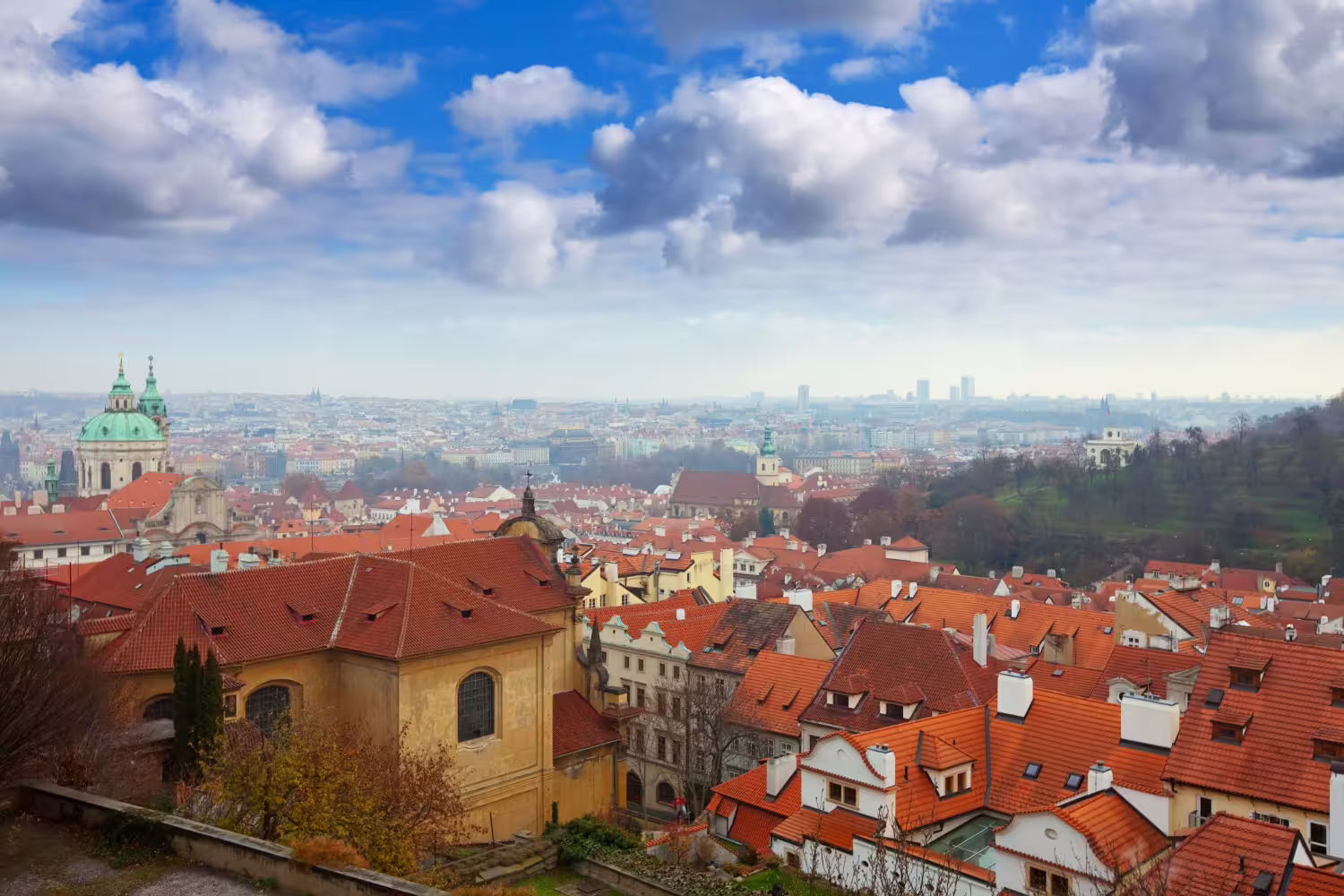 Spotted Opatów: lokalna sieć obserwacji i zgłoszeń